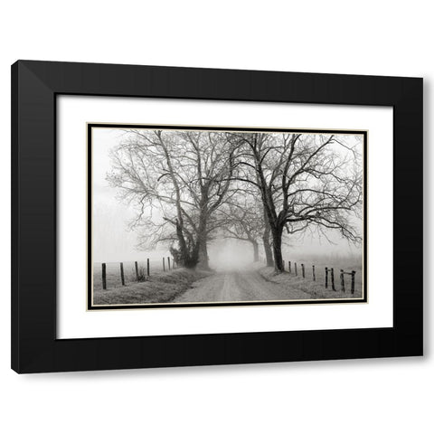 Sparks Lane, Late Autumn Black Modern Wood Framed Art Print with Double Matting by Bell, Nicholas