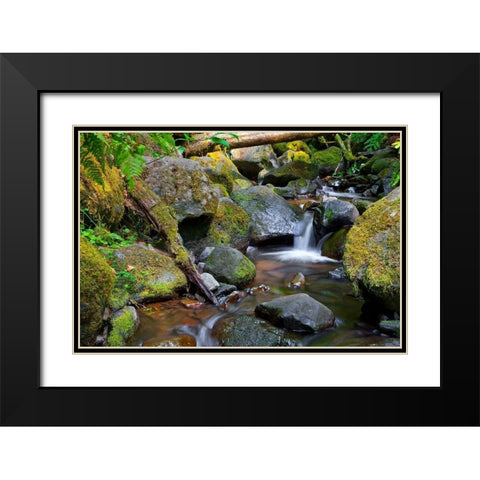 Mossy Stream Black Modern Wood Framed Art Print with Double Matting by Broom, Michael