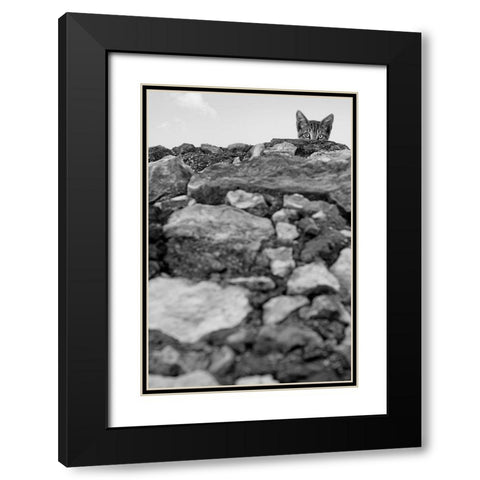 C est Moi! Black Modern Wood Framed Art Print with Double Matting by Bertelli, Jon