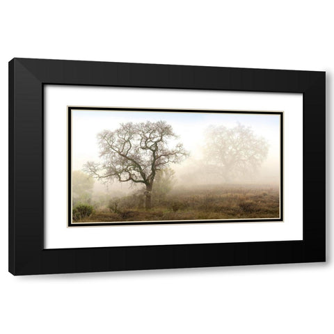 Sonoma Oak 1 Black Modern Wood Framed Art Print with Double Matting by Blaustein, Alan