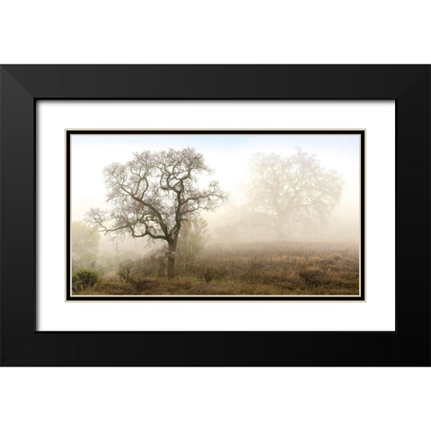 Sonoma Oak 1 Black Modern Wood Framed Art Print with Double Matting by Blaustein, Alan