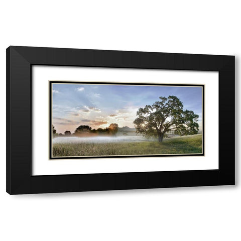Sonoma Oak 3 Black Modern Wood Framed Art Print with Double Matting by Blaustein, Alan