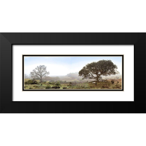 Sonoma Oak Trees No. 1 Black Modern Wood Framed Art Print with Double Matting by Blaustein, Alan