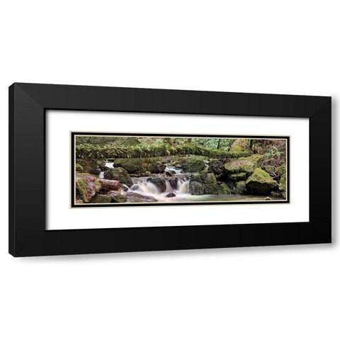 Canyon Falls No. 11 Black Modern Wood Framed Art Print with Double Matting by Blaustein, Alan