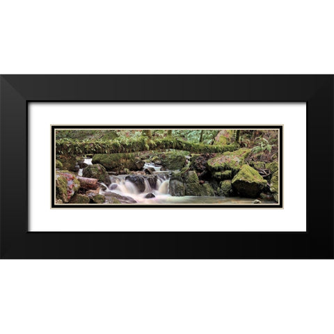 Canyon Falls No. 11 Black Modern Wood Framed Art Print with Double Matting by Blaustein, Alan