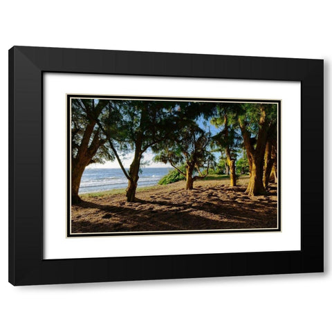 Ancient Family Black Modern Wood Framed Art Print with Double Matting by Burdick, Chuck