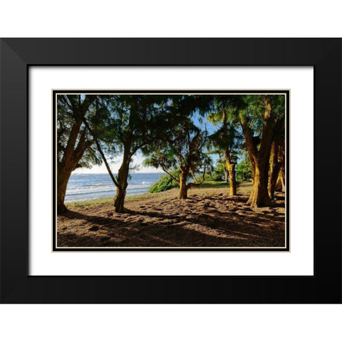 Ancient Family Black Modern Wood Framed Art Print with Double Matting by Burdick, Chuck