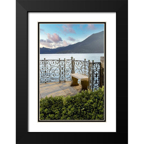 Giardino sul Lago #8 Black Modern Wood Framed Art Print with Double Matting by Blaustein, Alan