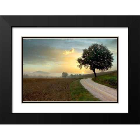 Tuscan Farm Road #1 Black Modern Wood Framed Art Print with Double Matting by Blaustein, Alan