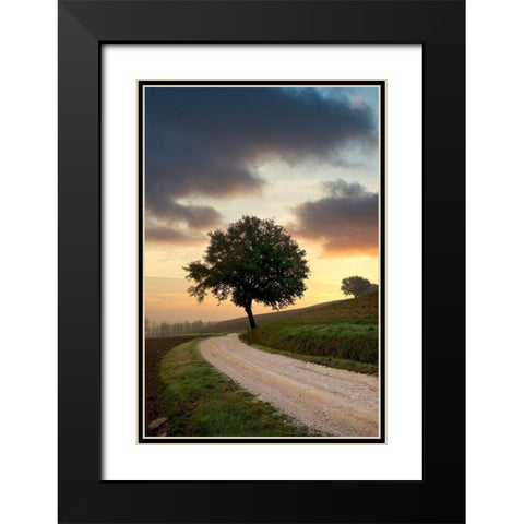 Tuscan Farm Road Sunrise #2 Black Modern Wood Framed Art Print with Double Matting by Blaustein, Alan