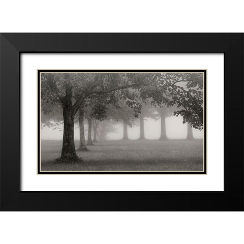 Trees In Early Autumn Black Modern Wood Framed Art Print with Double Matting by Bell, Nicholas