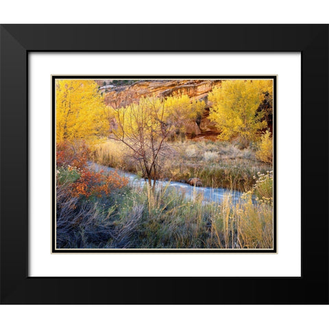 Autumn Chaos Along The Fremont Black Modern Wood Framed Art Print with Double Matting by Becia, Jim