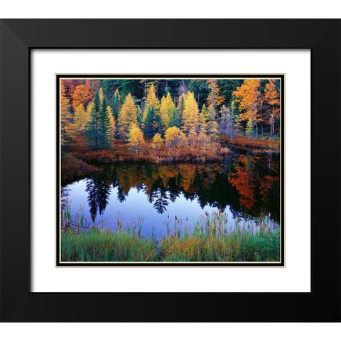 Tamarack Reflections Black Modern Wood Framed Art Print with Double Matting by Becia, Jim
