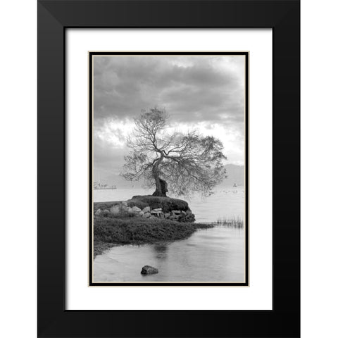 Coastal Oak Series No. 1 Black Modern Wood Framed Art Print with Double Matting by Blaustein, Alan