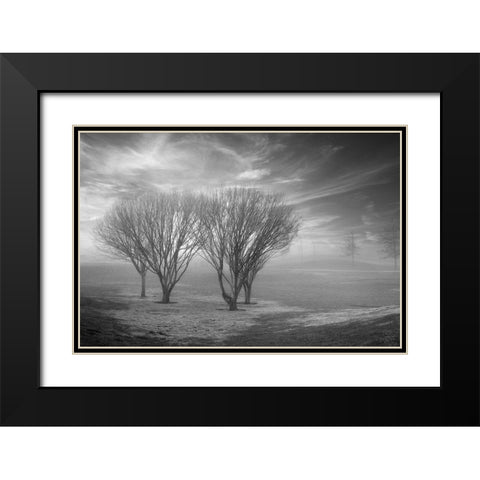 Coastal Oak Series No. 42 Black Modern Wood Framed Art Print with Double Matting by Blaustein, Alan