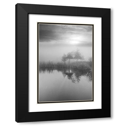 Coastal Oak Series No. 44 Black Modern Wood Framed Art Print with Double Matting by Blaustein, Alan