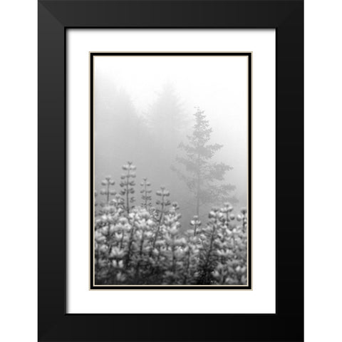 Coastal Oak Series No. 53 Black Modern Wood Framed Art Print with Double Matting by Blaustein, Alan