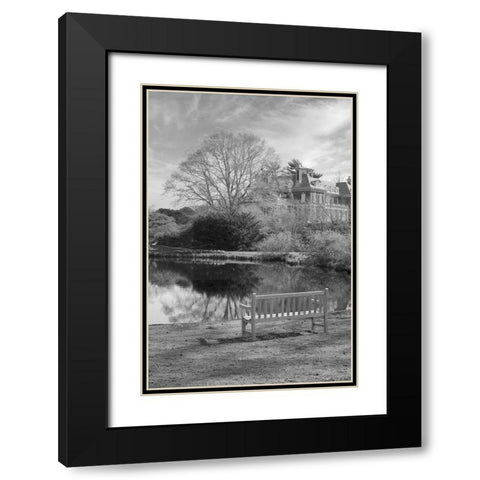 Coastal Oak Series No. 63 Black Modern Wood Framed Art Print with Double Matting by Blaustein, Alan