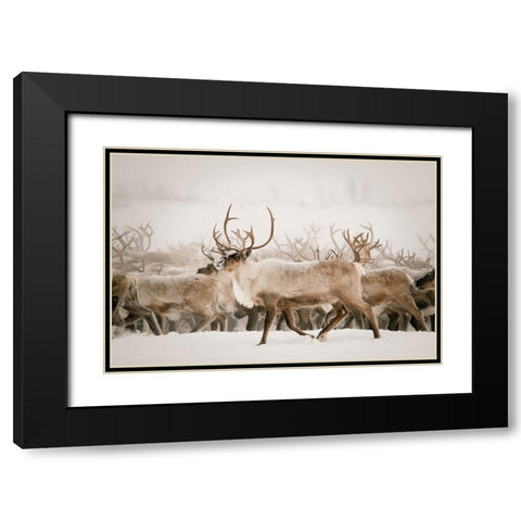 Firth Black Modern Wood Framed Art Print with Double Matting by Broadway, Krista