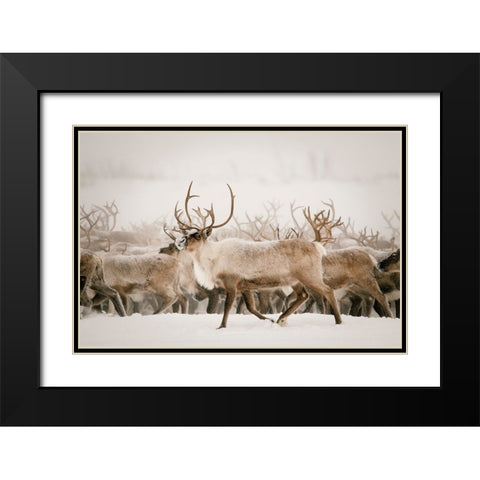 Firth Black Modern Wood Framed Art Print with Double Matting by Broadway, Krista