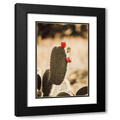 Habana Black Modern Wood Framed Art Print with Double Matting by Broadway, Krista