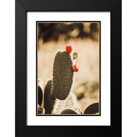 Habana Black Modern Wood Framed Art Print with Double Matting by Broadway, Krista