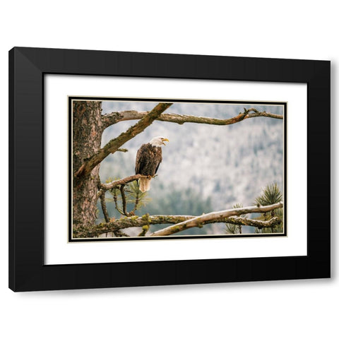 Trail Black Modern Wood Framed Art Print with Double Matting by Broadway, Krista