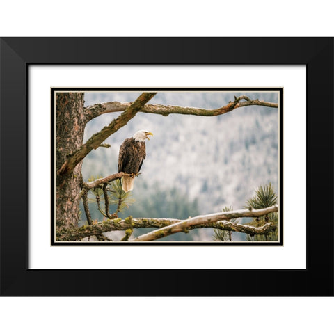 Trail Black Modern Wood Framed Art Print with Double Matting by Broadway, Krista