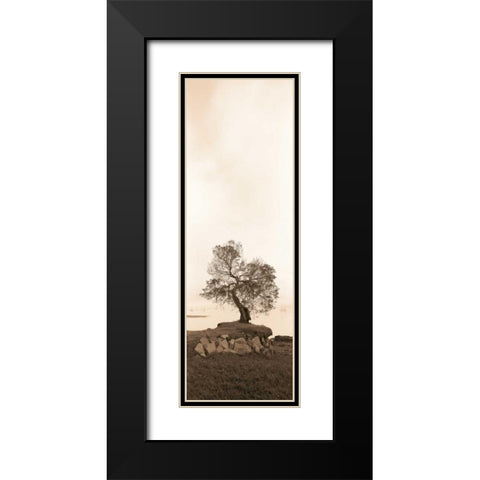 Coast Oak Black Modern Wood Framed Art Print with Double Matting by Blaustein, Alan