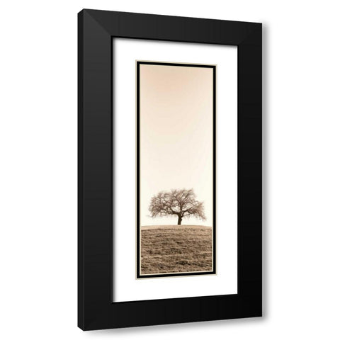 Lone Oak Tree Black Modern Wood Framed Art Print with Double Matting by Blaustein, Alan