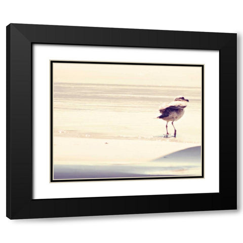 Bird at The Beach Black Modern Wood Framed Art Print with Double Matting by Coomes, Sylvia