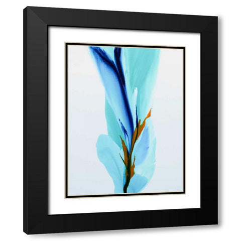 SpringÃ¢â‚¬â„¢s Calling Card Black Modern Wood Framed Art Print with Double Matting by Coulter, Patricia