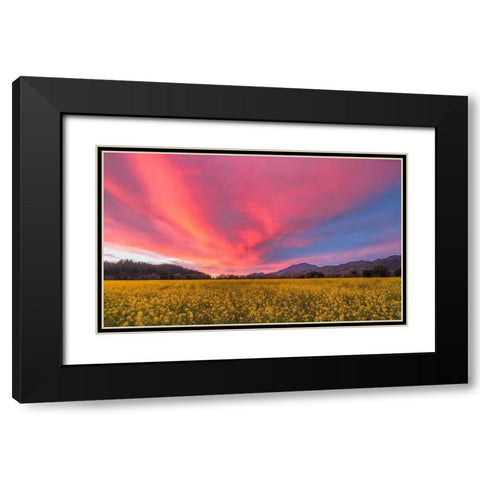 Spring Sunset Napa Valley Black Modern Wood Framed Art Print with Double Matting by Carmel, Elizabeth