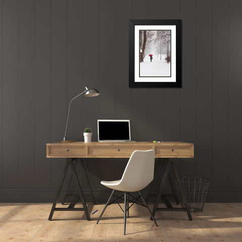 Winter Rose Black Modern Wood Framed Art Print with Double Matting by Corso, Stefano
