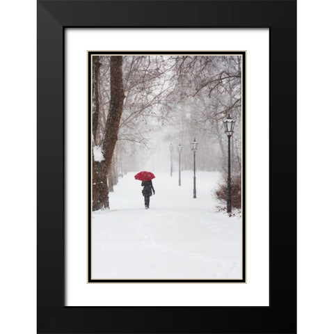 Winter Rose Black Modern Wood Framed Art Print with Double Matting by Corso, Stefano