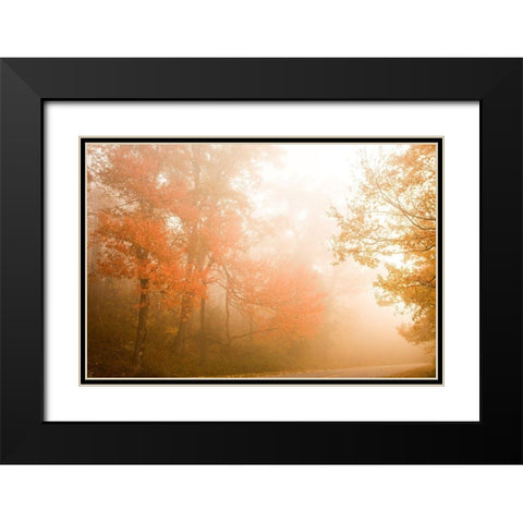 Beyond The Fog Black Modern Wood Framed Art Print with Double Matting by Connolly, Karin