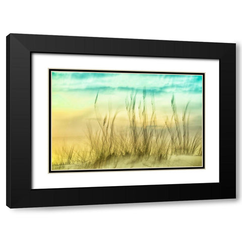 Delightful No. 2 Black Modern Wood Framed Art Print with Double Matting by Connolly, Karin