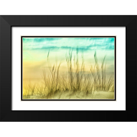 Delightful No. 2 Black Modern Wood Framed Art Print with Double Matting by Connolly, Karin
