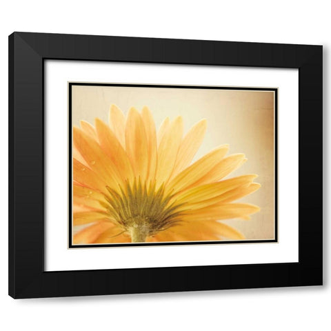 Butterscotch Black Modern Wood Framed Art Print with Double Matting by Cochrane, Carolyn