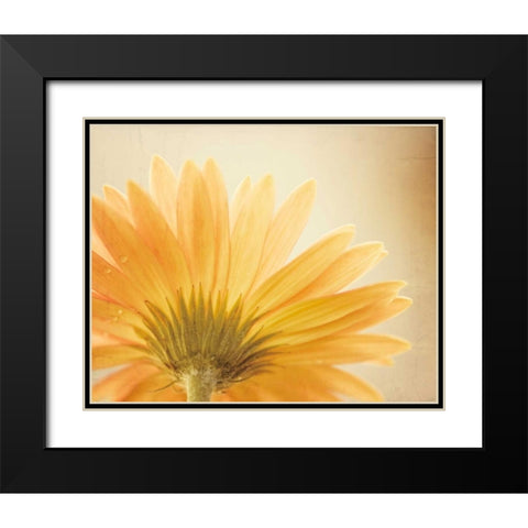 Butterscotch Black Modern Wood Framed Art Print with Double Matting by Cochrane, Carolyn