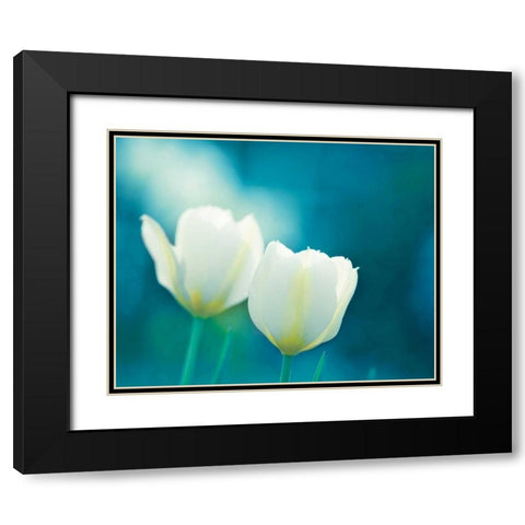 Charisma Black Modern Wood Framed Art Print with Double Matting by Cochrane, Carolyn