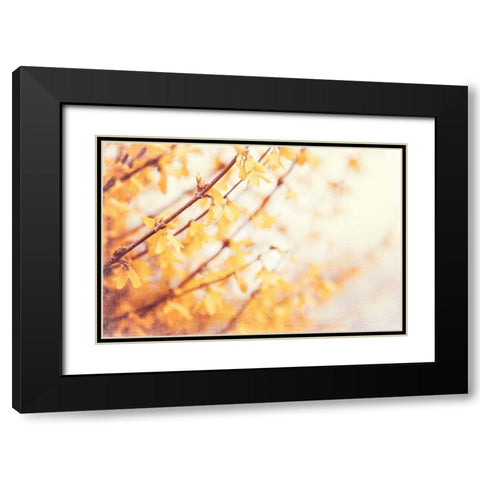 In the Beginning Black Modern Wood Framed Art Print with Double Matting by Cochrane, Carolyn