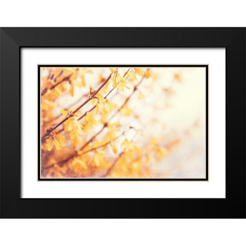 In the Beginning Black Modern Wood Framed Art Print with Double Matting by Cochrane, Carolyn
