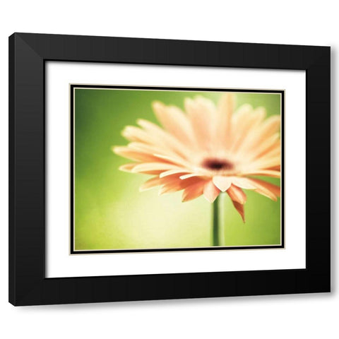 Joyful Black Modern Wood Framed Art Print with Double Matting by Cochrane, Carolyn