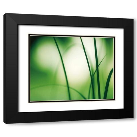 Natural Flow Black Modern Wood Framed Art Print with Double Matting by Cochrane, Carolyn