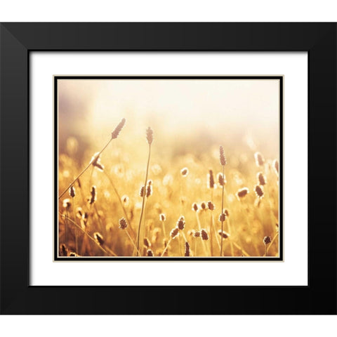Nothing Gold Can Stay Black Modern Wood Framed Art Print with Double Matting by Cochrane, Carolyn
