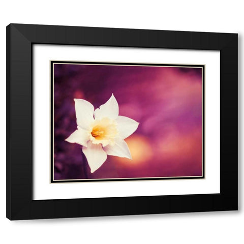 Outburst Black Modern Wood Framed Art Print with Double Matting by Cochrane, Carolyn