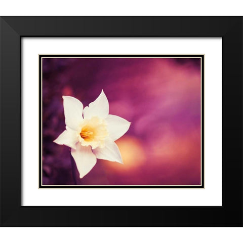 Outburst Black Modern Wood Framed Art Print with Double Matting by Cochrane, Carolyn