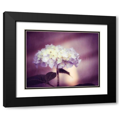 Regal Black Modern Wood Framed Art Print with Double Matting by Cochrane, Carolyn