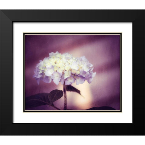 Regal Black Modern Wood Framed Art Print with Double Matting by Cochrane, Carolyn